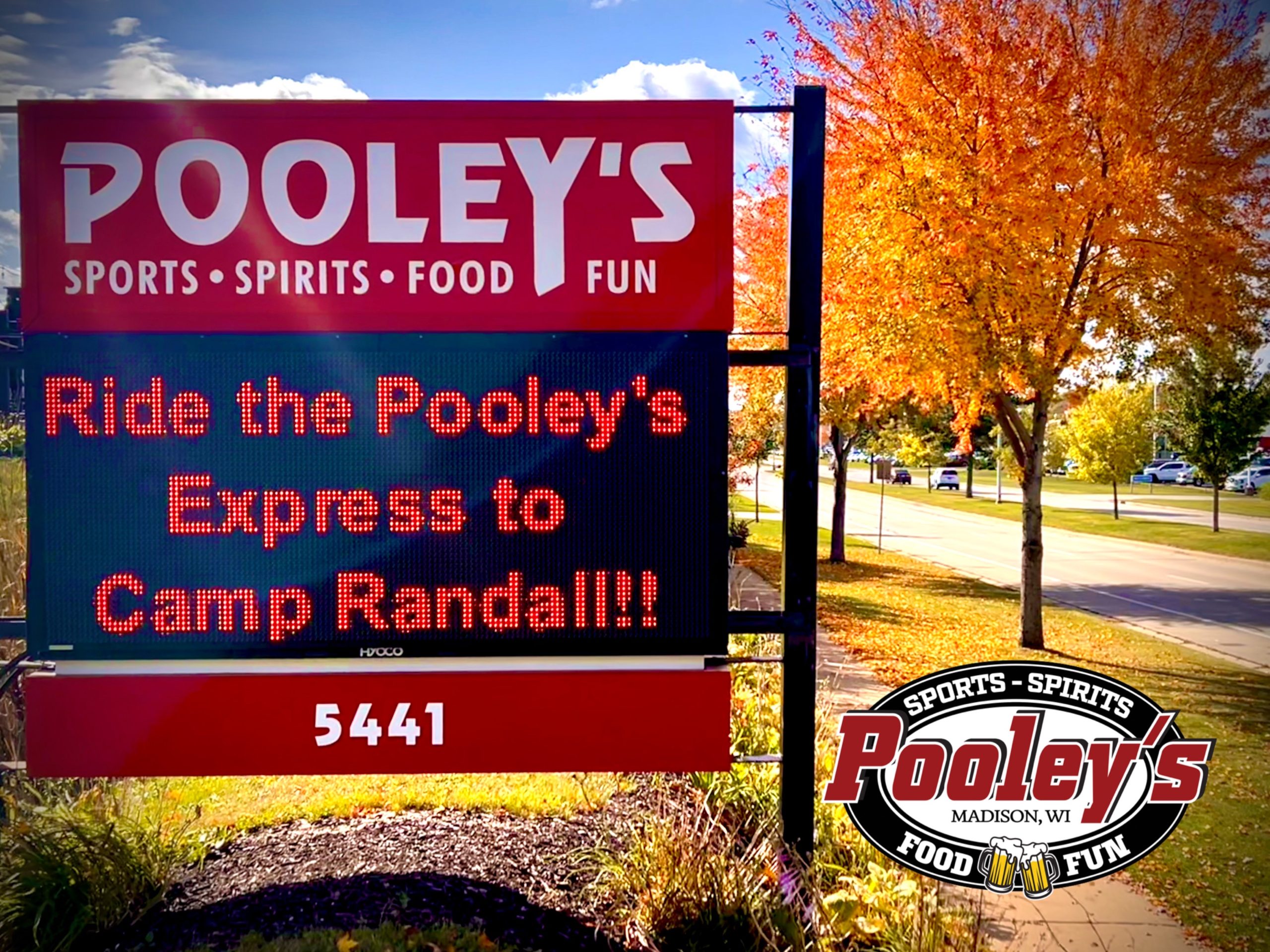 Bus to Camp Randall, Badger Football, College Football, Sports Bar